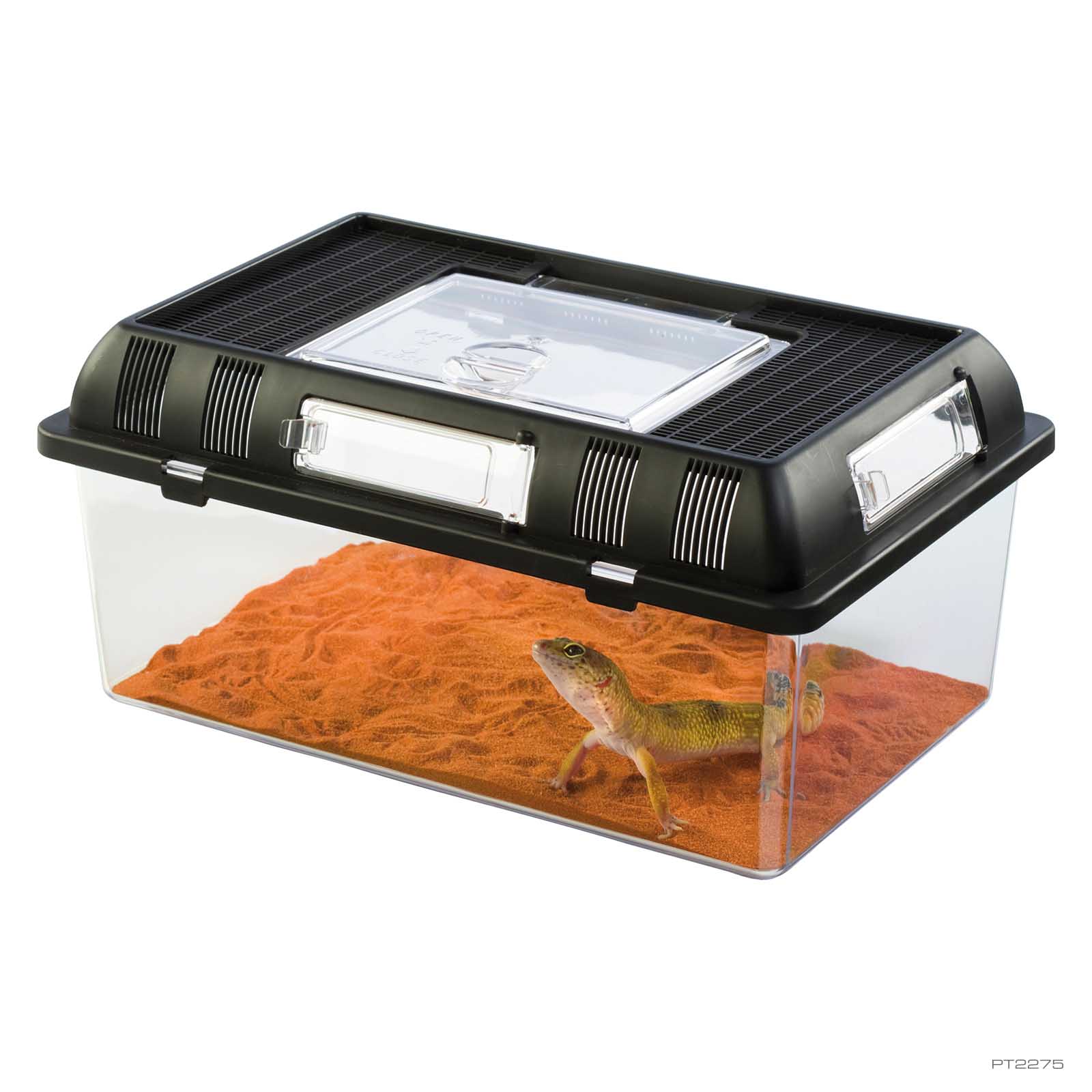 exo-terra-breeding-box-medium-zucht-und-transportbox image 1