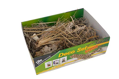 lucky-reptile-life-experience-deco-set-w-ste-f-r-nano-terrarien image 8