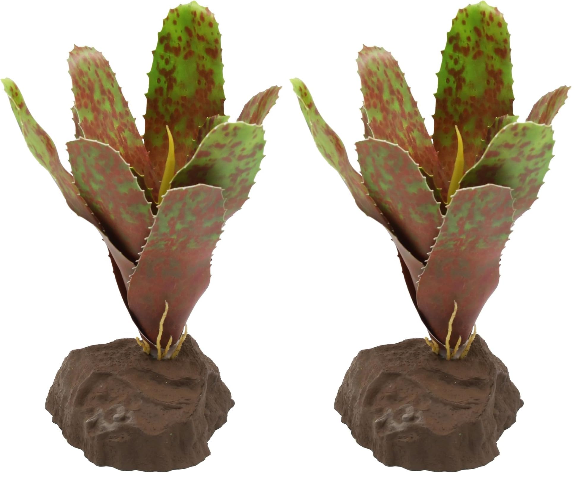 lucky-reptile-scape-it-easy-bromelie-neoregelia-gr-n-ca-20-cm-dekopflanze image 6