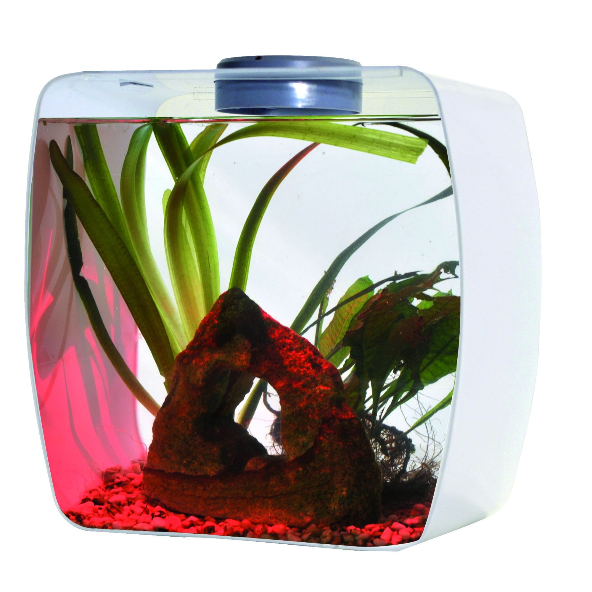 lucky-reptile-life-box-30x18x30-cm-wei-mit-led-und-l-ftung image 3