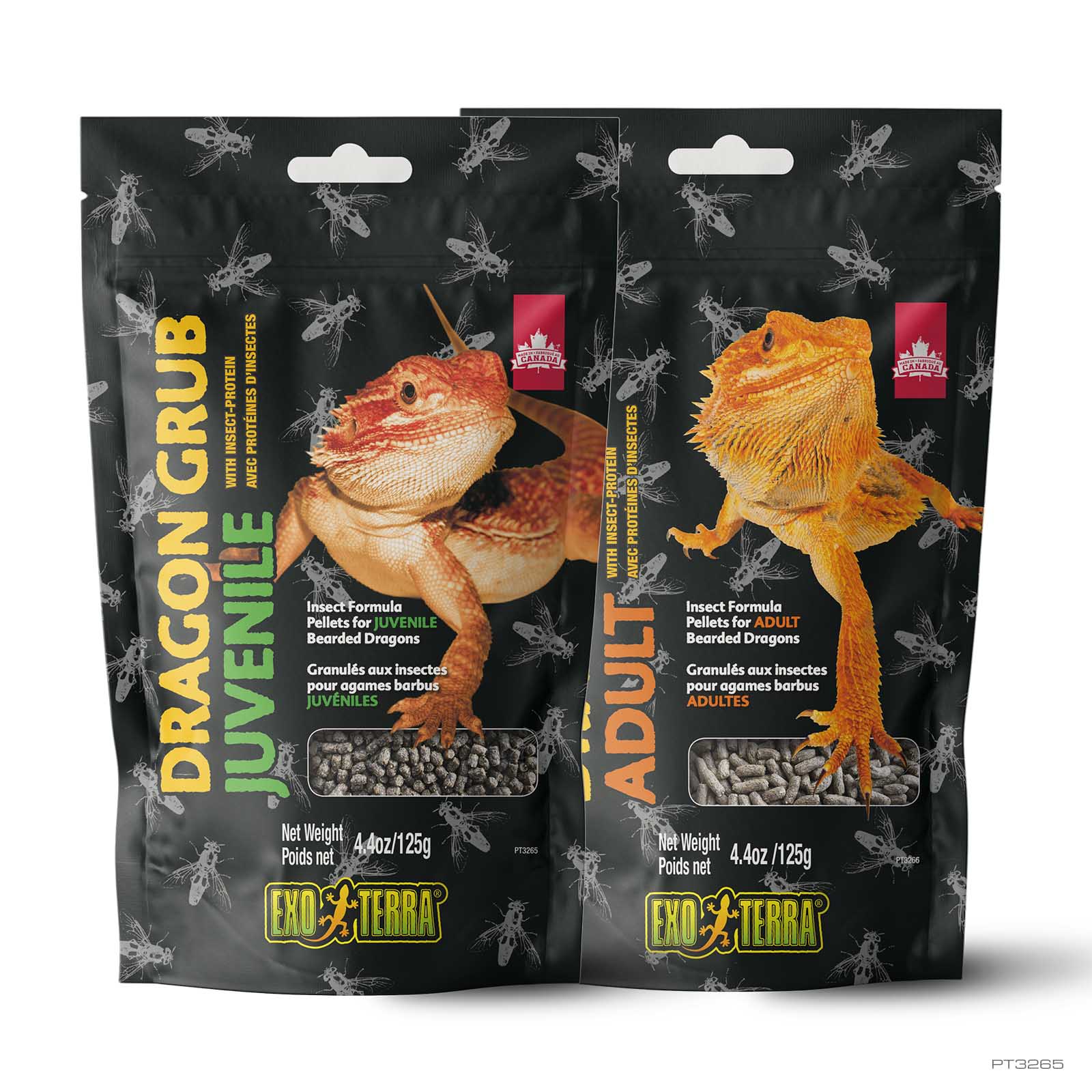 exo-terra-dragon-grub-juvenile-125-g-insektenfutter-f-r-junge-reptilien image 2