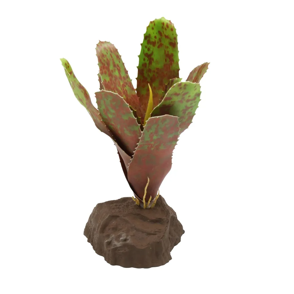 lucky-reptile-scape-it-easy-bromelie-neoregelia-gr-n-ca-20-cm-dekopflanze image 1