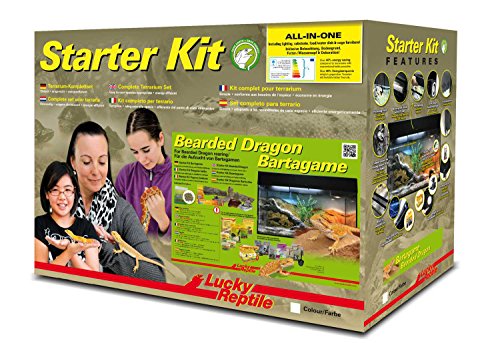 lucky-reptile-starter-kit-bartagame-80x40x52-cm-schwarz-komplett-terrarium image 6