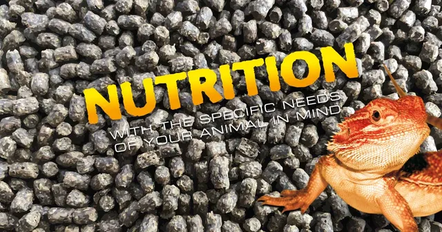 exo-terra-feeding-dishes-futtern-pfe-f-r-reptilien image 1