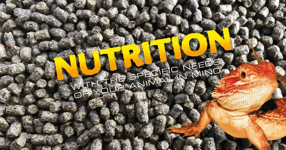 exo-terra-feeding-dishes-futtern-pfe-f-r-reptilien image 1