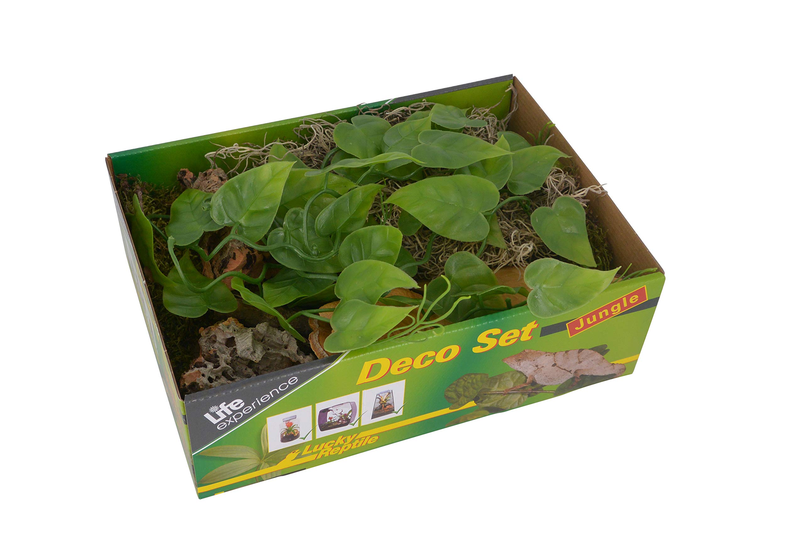 lucky-reptile-life-experience-deco-set-w-ste-f-r-nano-terrarien image 5