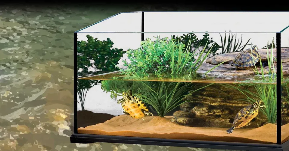 exo-terra-aquatic-terrarium-schildkr-ten-aquaterrarium-glasbecken image 1