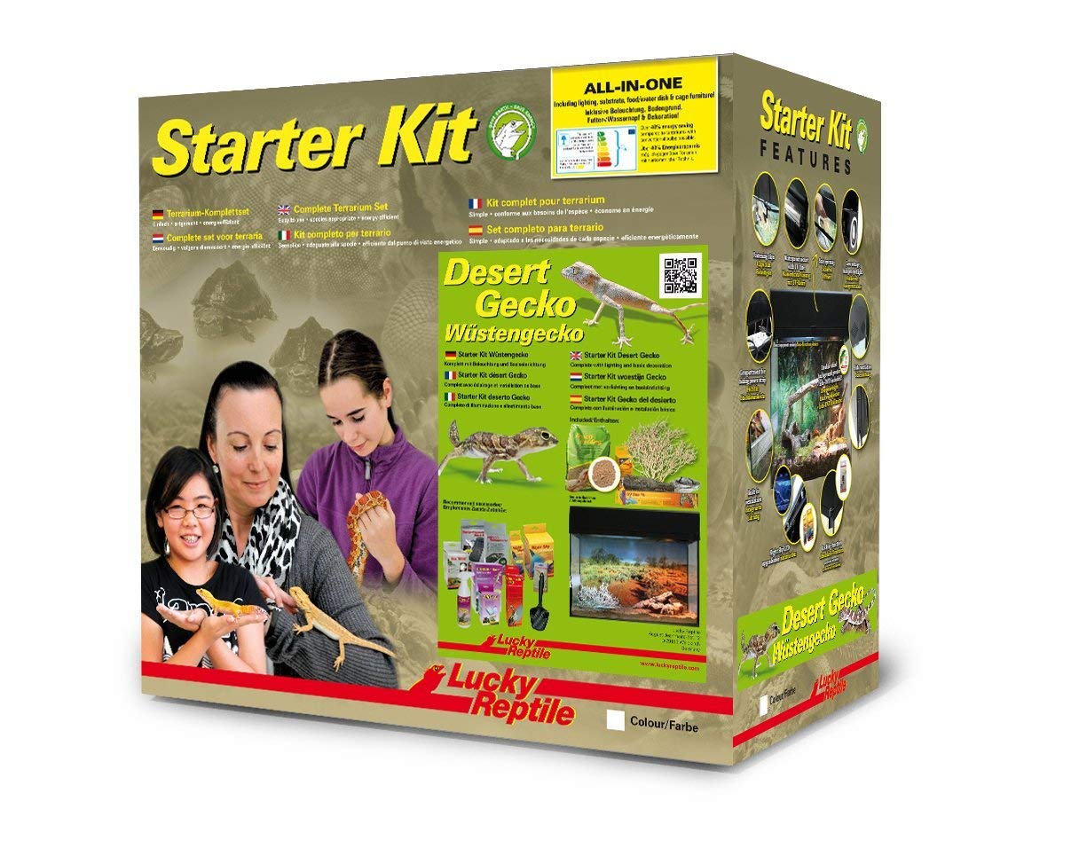 lucky-reptile-starter-kit-w-stengecko-50-x-28-x-40-cm-wei image 2