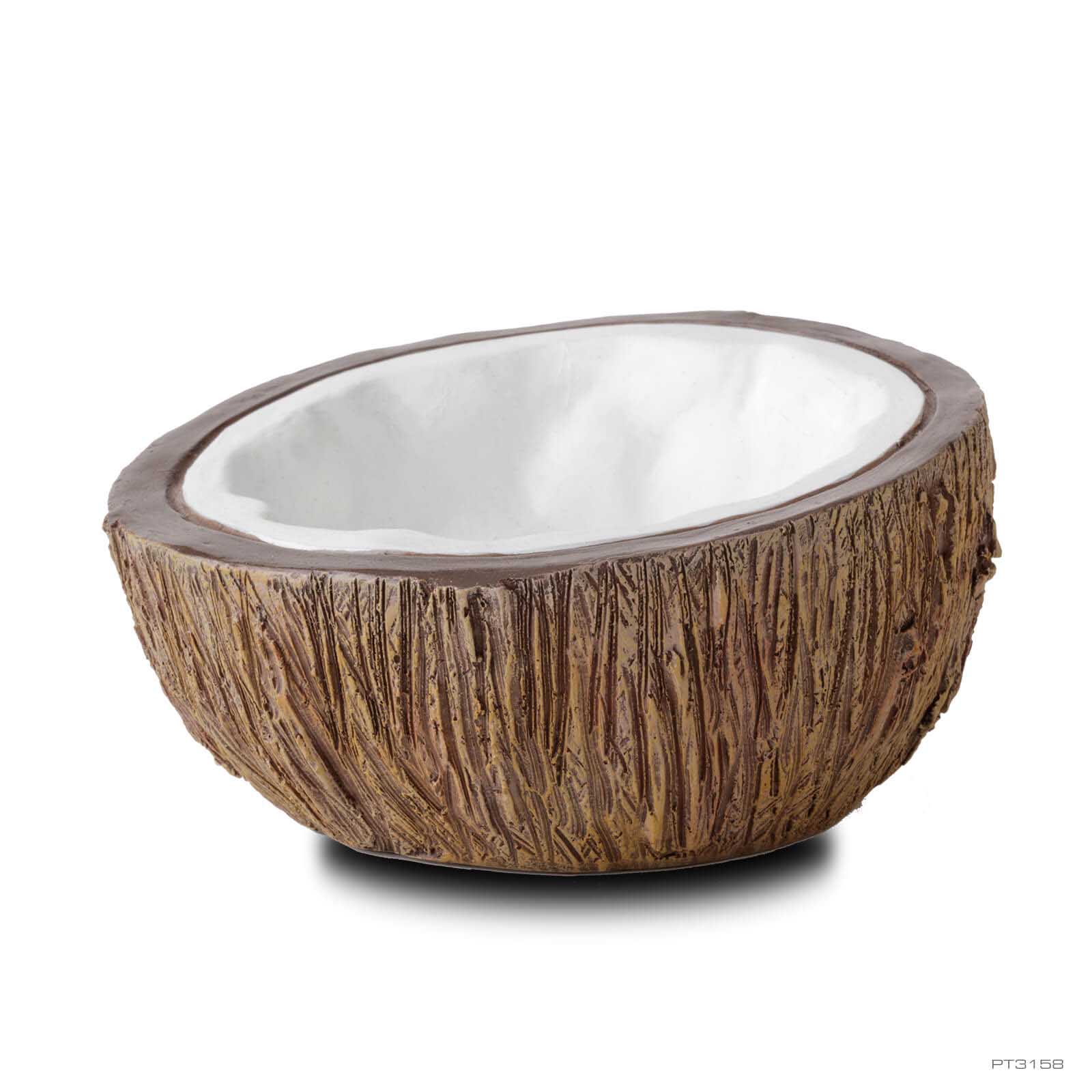 exo-terra-coconut-wassernapf-hawaiian-tiki image 1