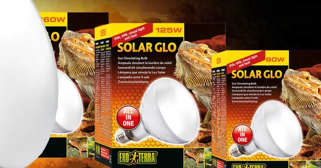 exo-terra-solar-glo-all-in-one-bulbs-uv-w-rme-lampe-f-r-terrarien image 1