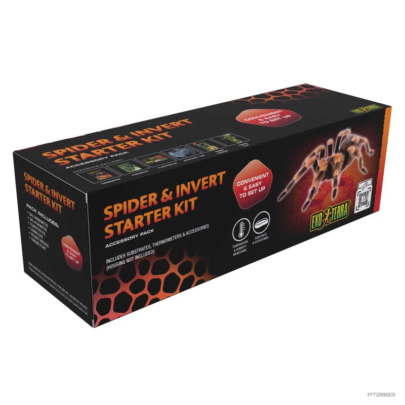 exo-terra-spider-invert-starter-kit-komplett-terrarium-f-r-spinnen image 1