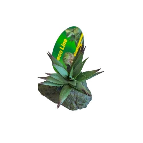 lucky-reptile-tiger-aloe-kunstpflanze-auf-steinsockel-ca-8-cm image 4