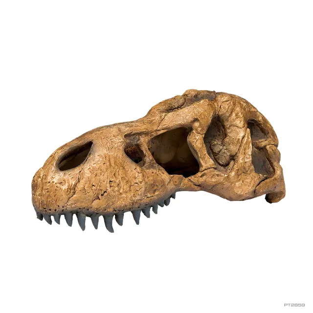 exo-terra-t-rex-skull-fossil-sch-del-versteck-f-r-terrarien image 1