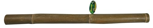 lucky-reptile-bambusstange-terrariendeko-1-m-durchmesser-bis-5-cm image 4