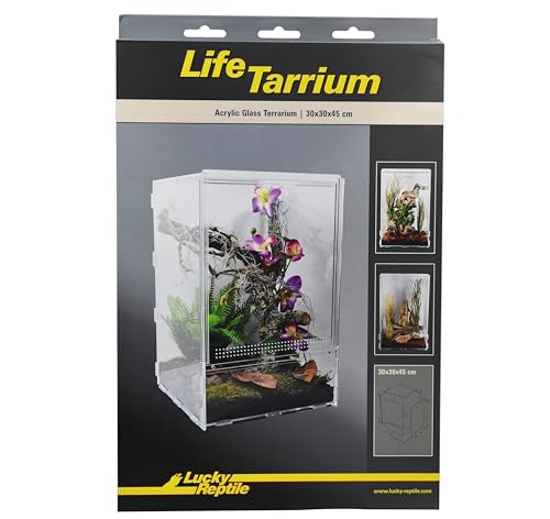 lucky-reptile-lifetarrium-terrarium-30-x-30-x-45-cm image 8