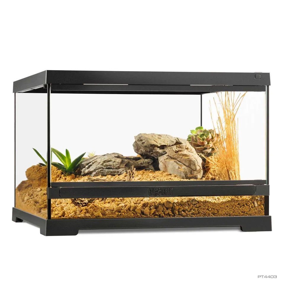 exo-terra-pro-terrarium-small-low-glasterrarium image 1