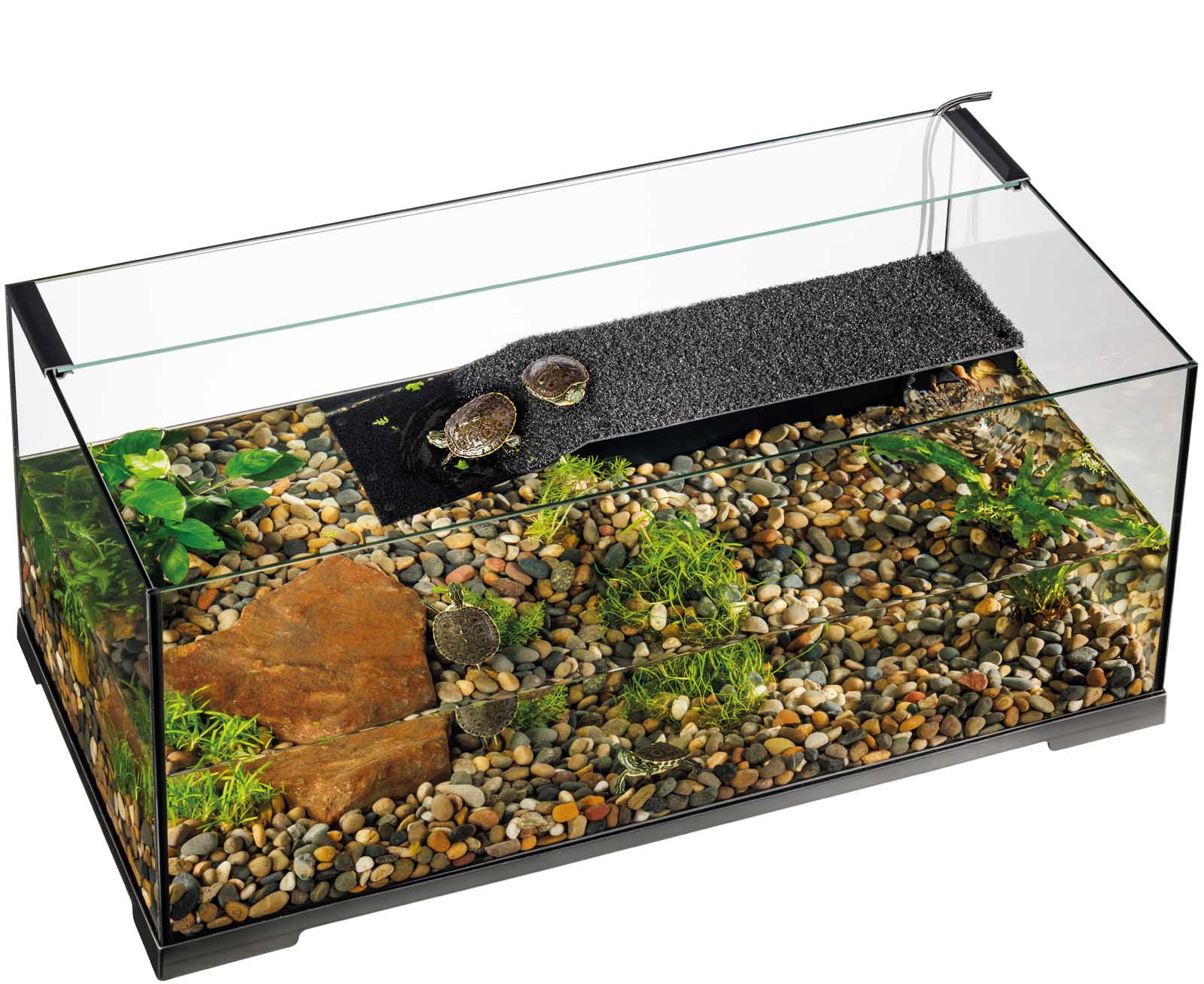exo-terra-pro-terrariums-vielseitiges-terrarium-f-r-reptilien-und-amphibien image 8