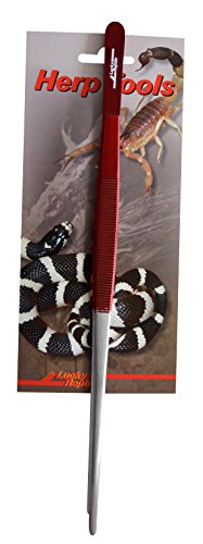 lucky-reptile-futterpinzette-gerade-14-cm image 7