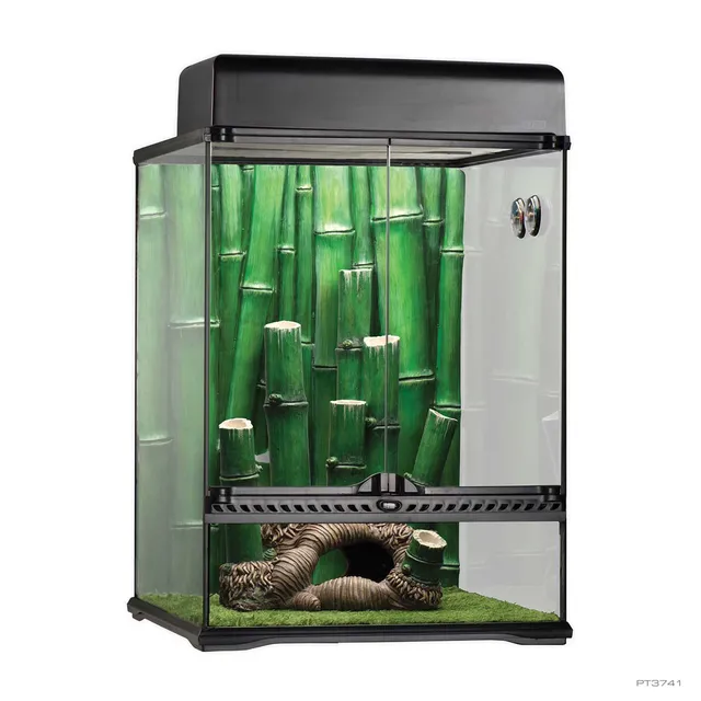 exo-terra-bamboo-forest-large-habitat-kit-terrarien-set image 1