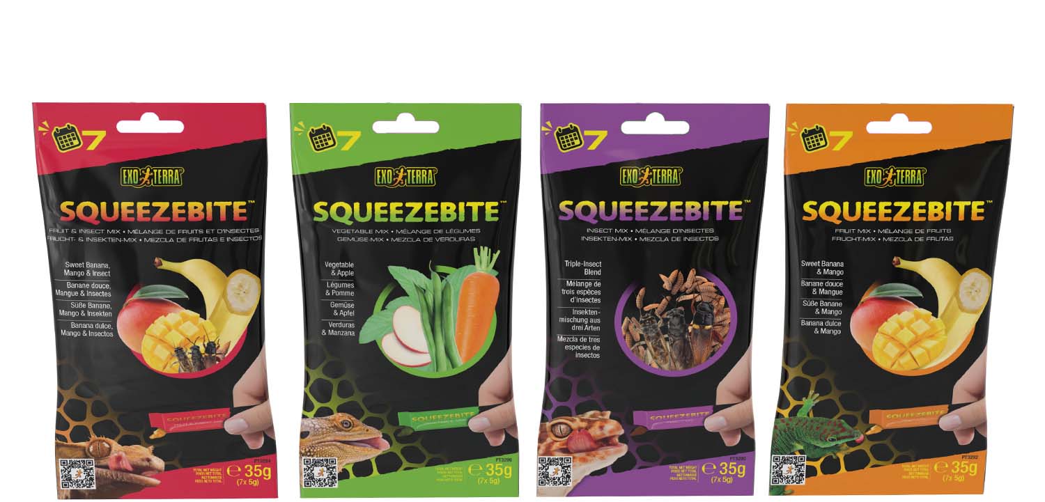 exo-terra-feeding-dishes-futtern-pfe-f-r-reptilien image 4