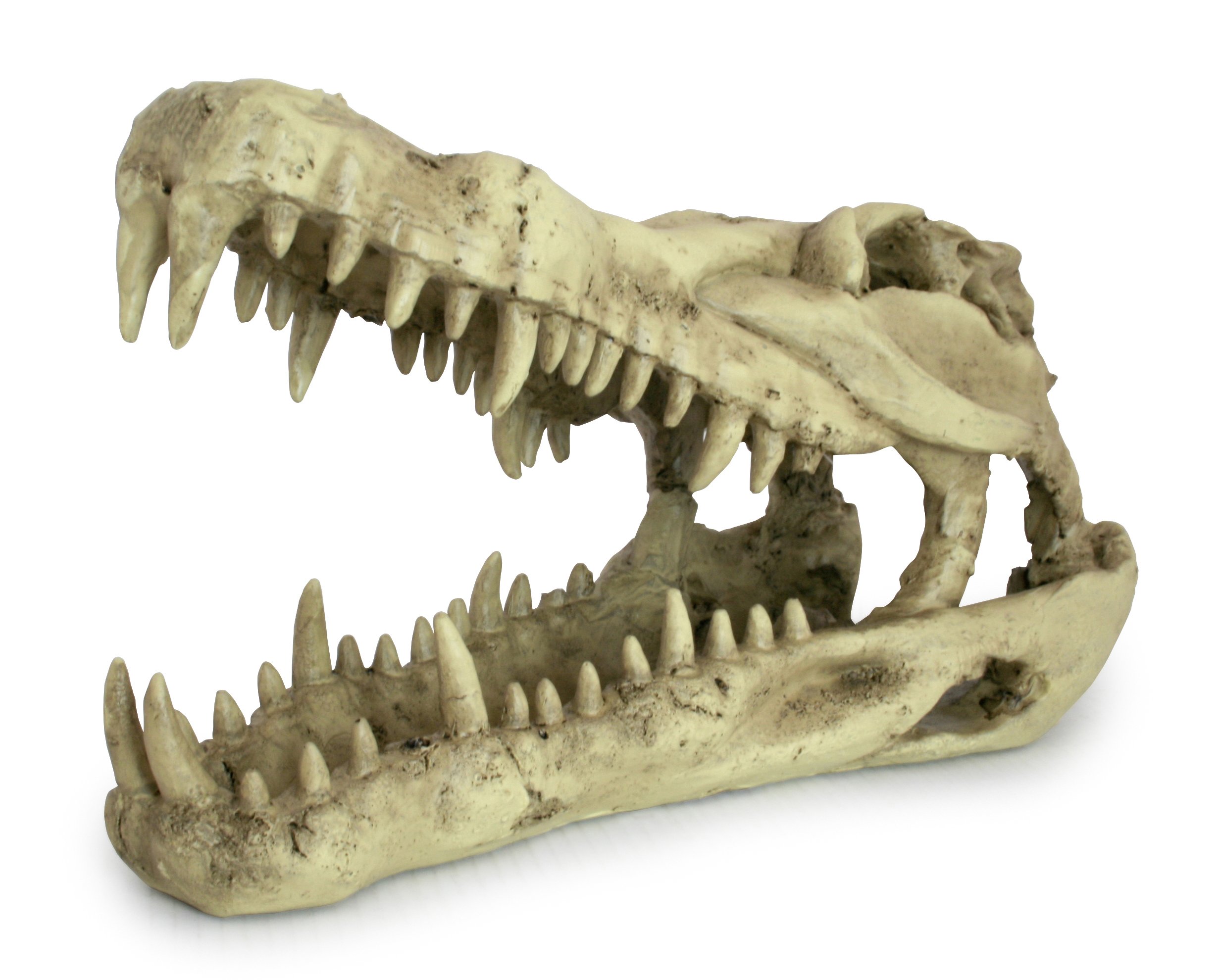 lucky-reptile-deco-skull-cow-kuhsch-del-terrarien-deko-22-cm image 3