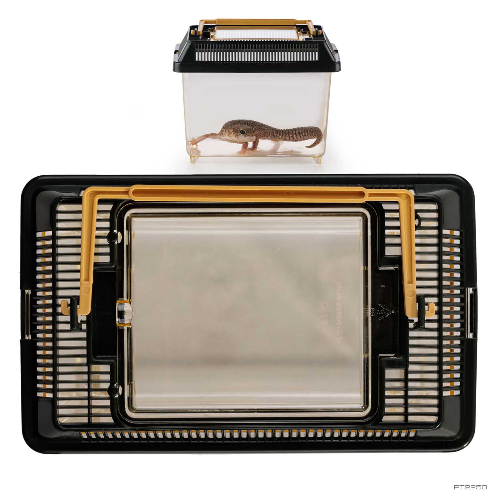 exo-terra-faunarium-x-small-stapelbares-kunststoff-terrarium image 3