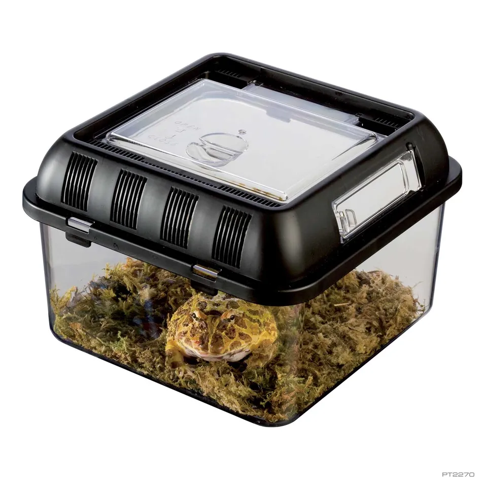 exo-terra-breeding-box-small-aufzucht-und-futterbox image 1