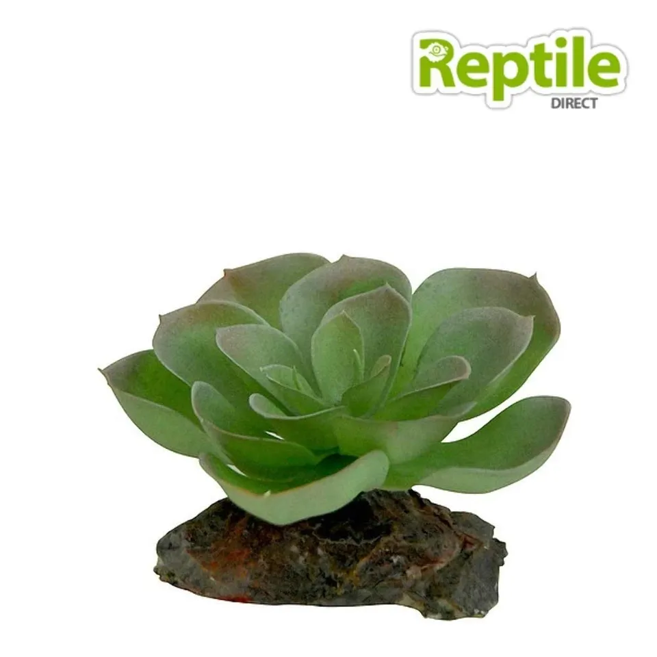 lucky-reptile-kalahari-busch-kunstpflanze-ca-40-cm image 1