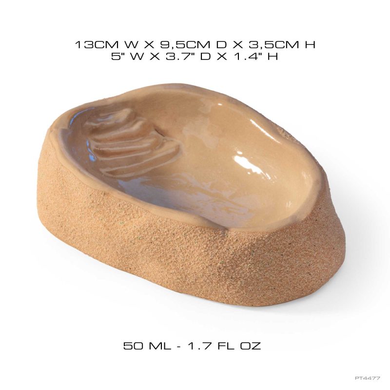 exo-terra-terrarium-wasserschale-medium-dish image 7