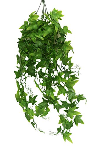 lucky-reptile-h-ngepflanze-efeu-kunstpflanze-60-cm image 5