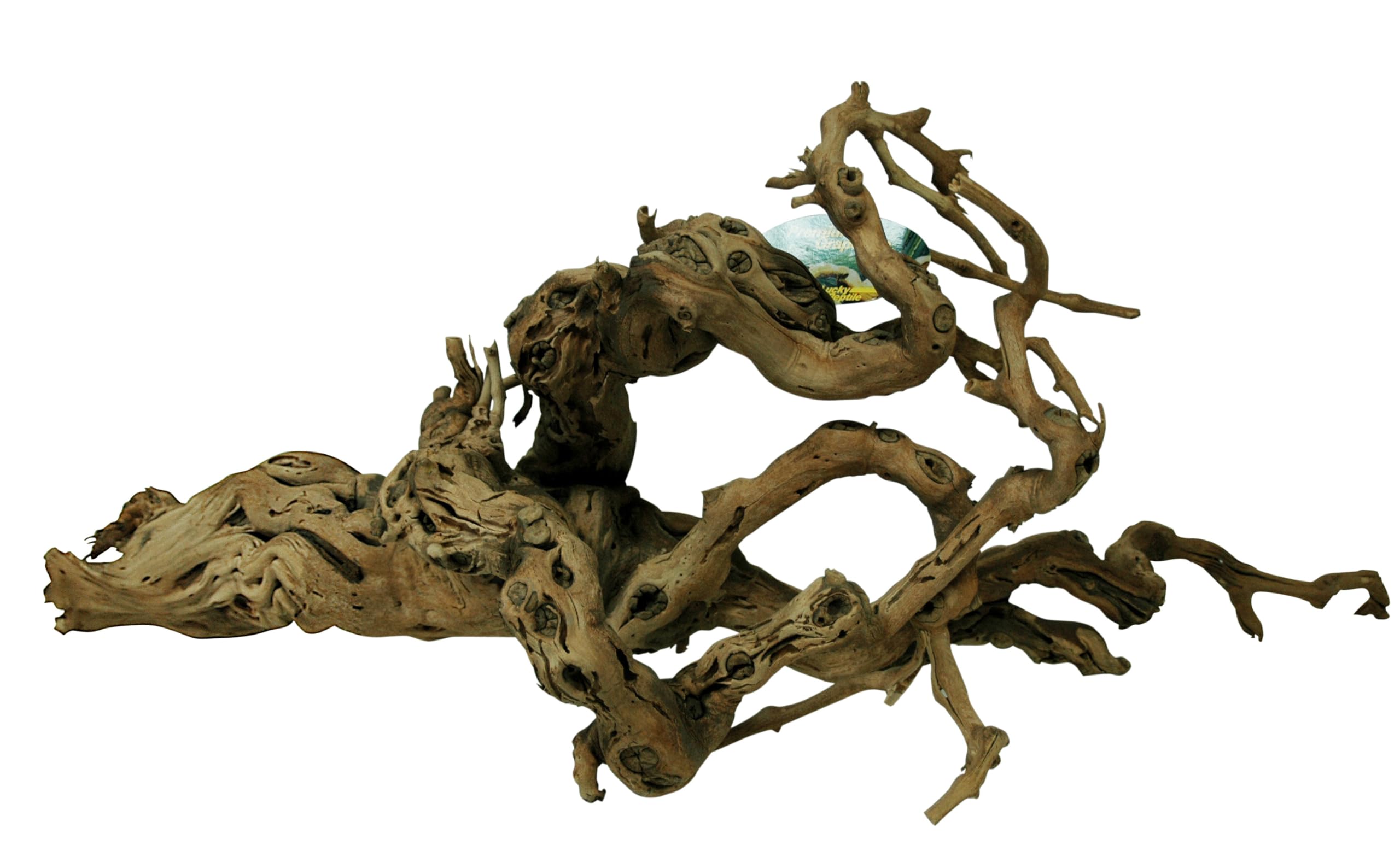 lucky-reptile-rebholz-terrarium-deko-gr-e-mittel image 4