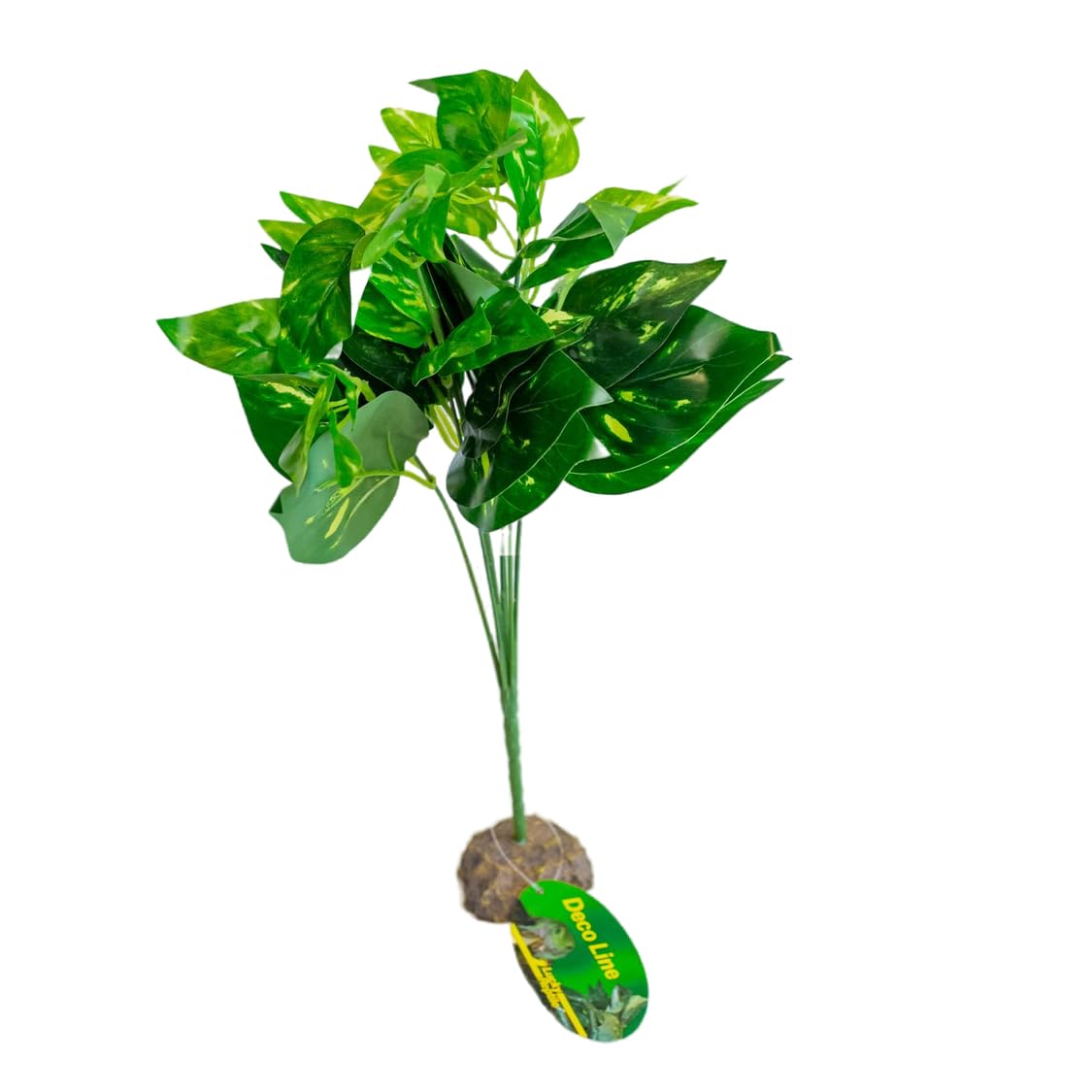 lucky-reptile-scindapsus-gr-n-terrarienpflanze-40-cm-auf-steinsockel image 2