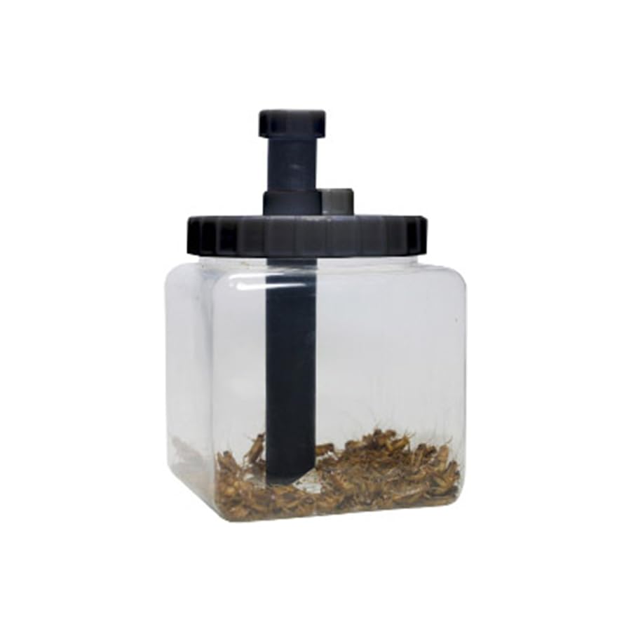 lucky-reptile-cricket-keeper-futterinsektenbox-mit-2-r-hren image 3