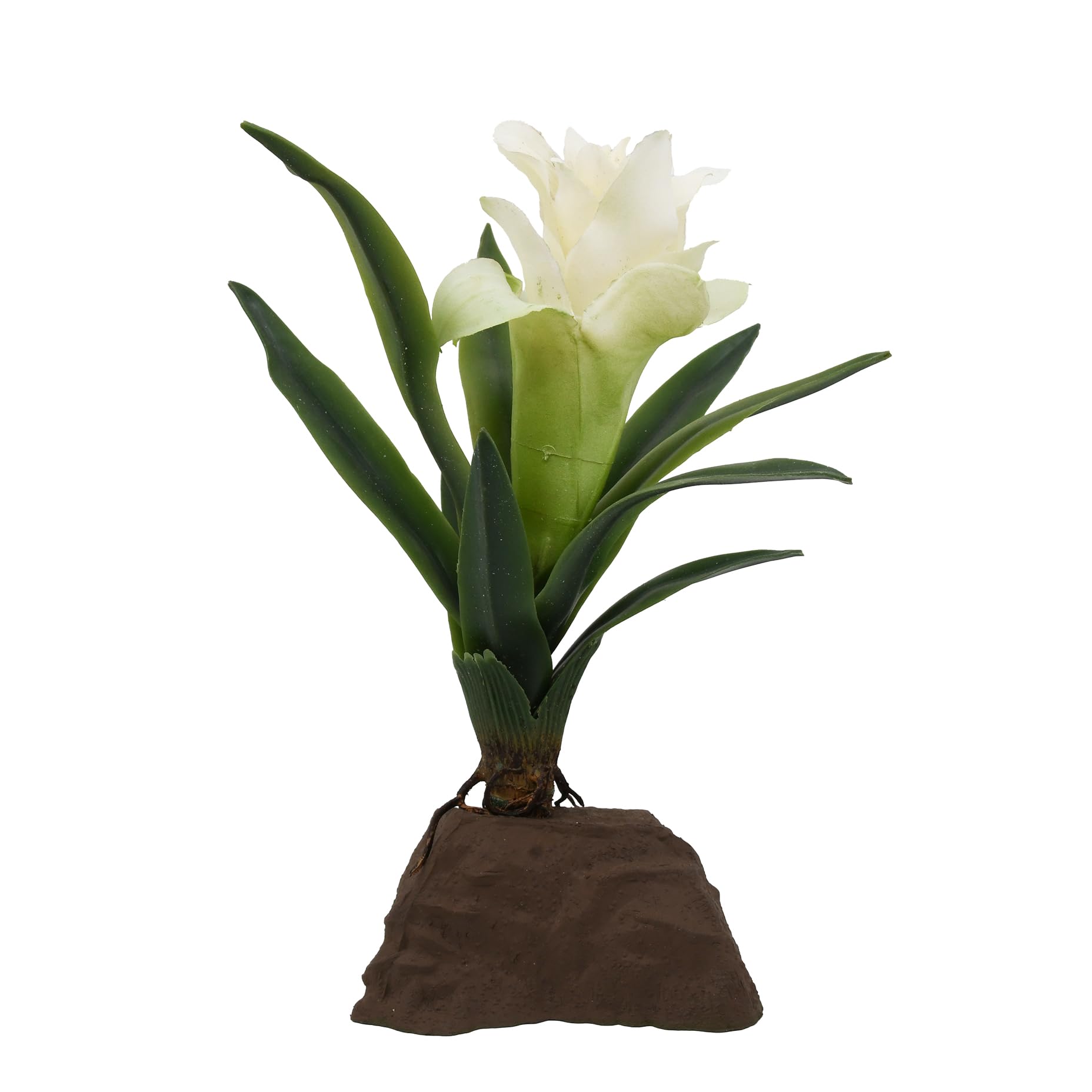 lucky-reptile-scape-it-easy-bromelie-neoregelia-gr-n-ca-20-cm-dekopflanze image 4