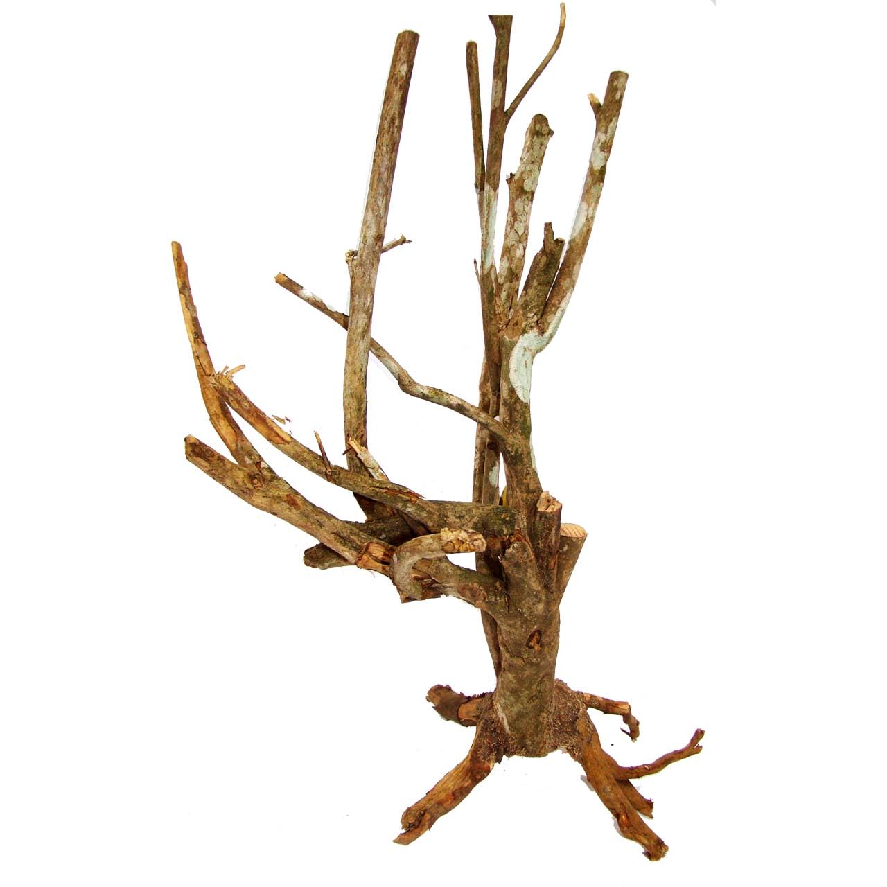 lucky-reptile-grasb-schel-terrarienpflanze-deko-ca-25-40-cm-f-r-w-sten-terrarium image 7