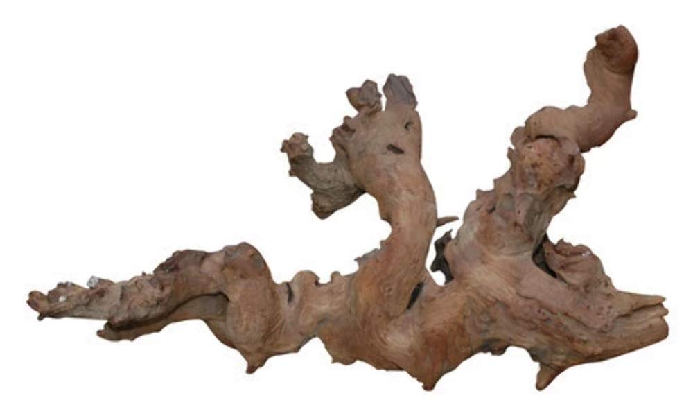 lucky-reptile-savannenholz-gro-robustes-naturholz-mit-h-hlen-und-mulden-f-r-terr image 1