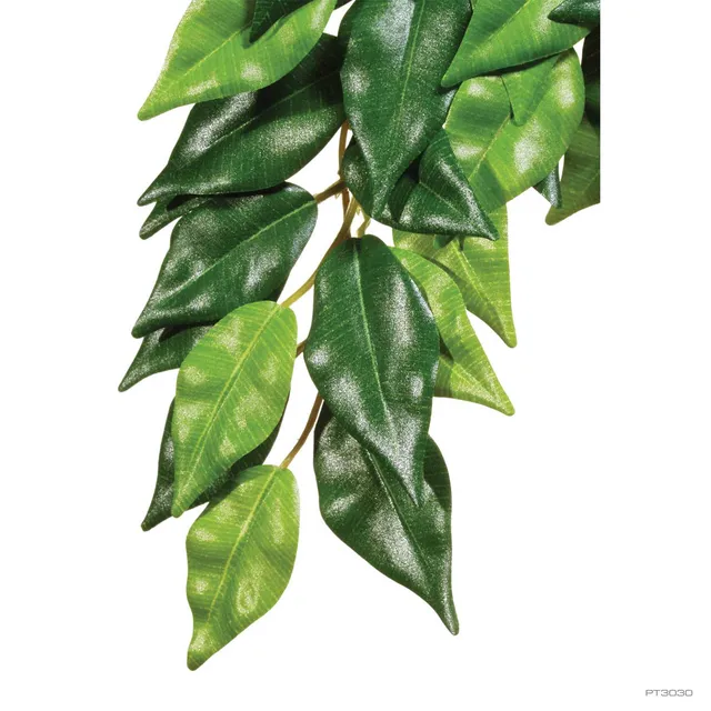 exo-terra-ficus-small-k-nstliche-terrarienpflanze image 1