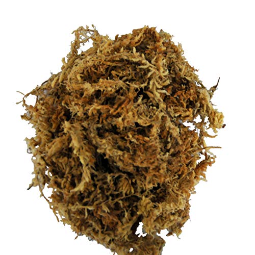 lucky-reptile-sphagnum-moos-ziegel-terrarienmoos-25-liter image 7