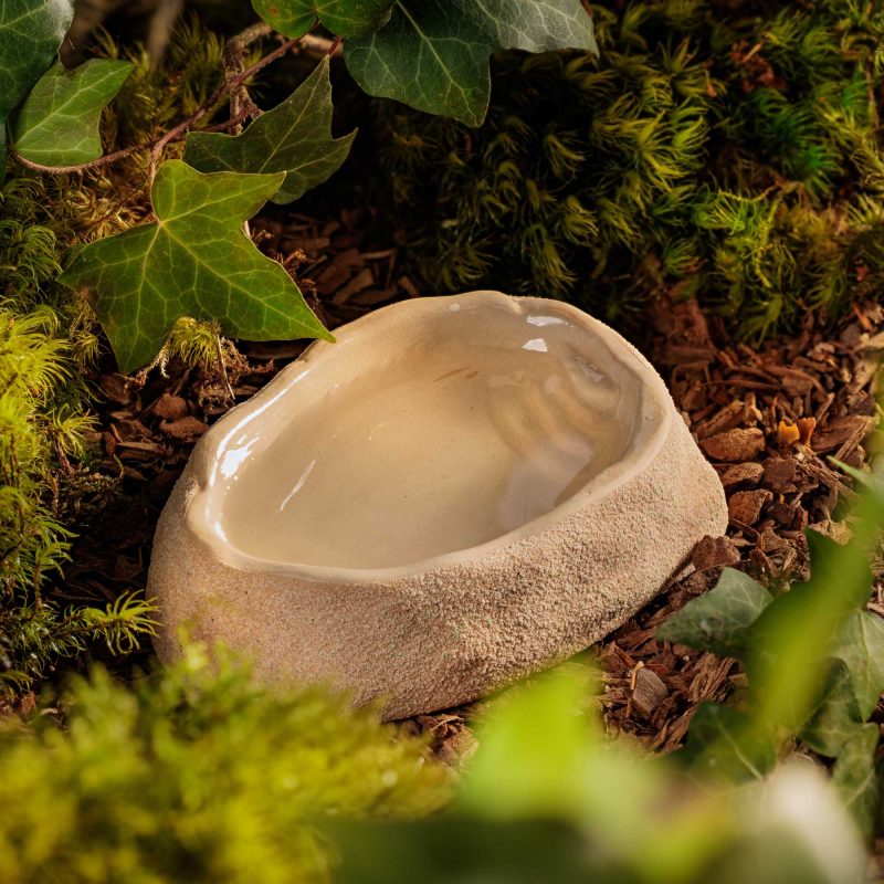 exo-terra-terrarium-wasserschale-medium-dish image 6
