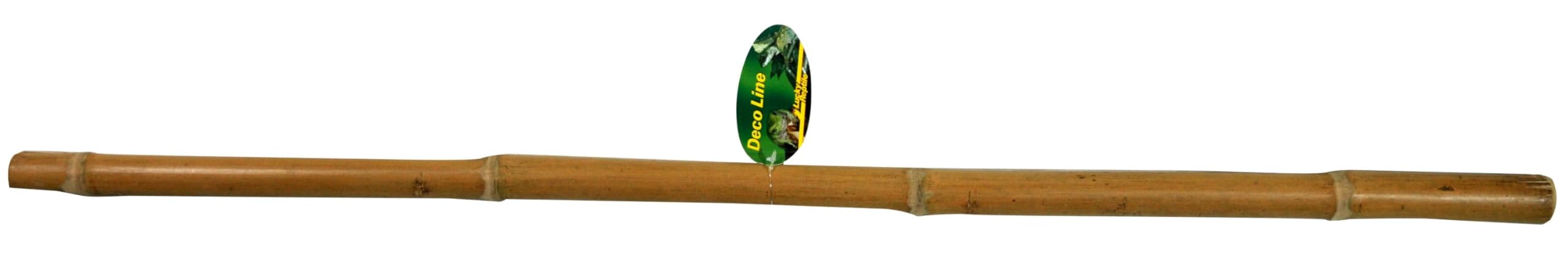 lucky-reptile-bambusstange-terrariendeko-1-m-durchmesser-bis-5-cm image 2
