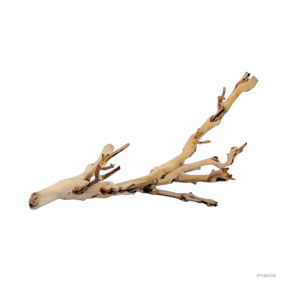 exo-terra-forest-branch-small-kletterast-f-r-terrarien image 1