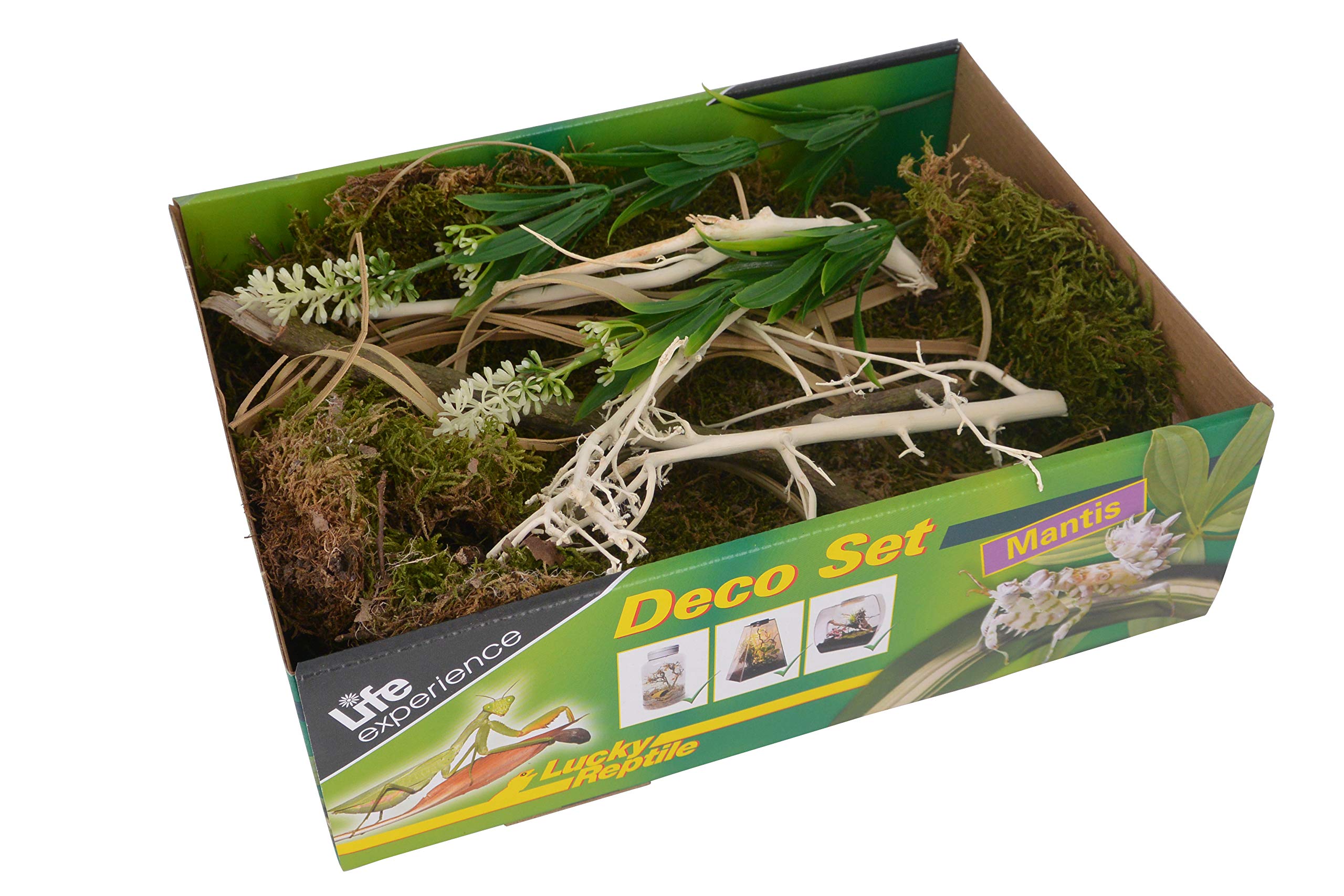 lucky-reptile-life-experience-deco-set-w-ste-f-r-nano-terrarien image 6