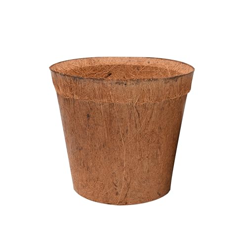 lucky-reptile-coco-planter-klein-pflanztopf-aus-kokosfasern image 5