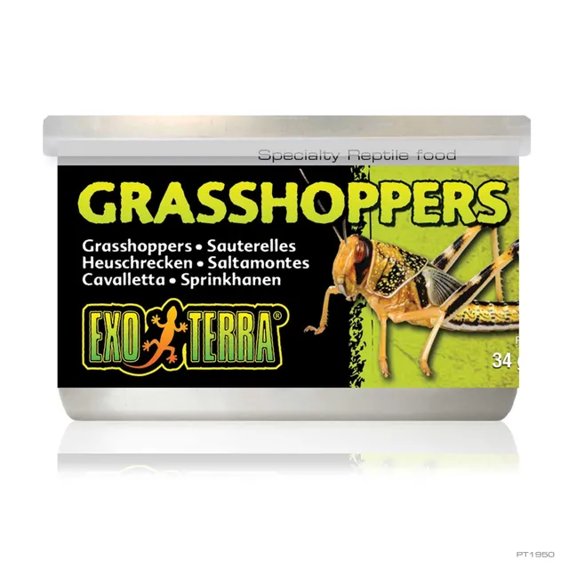 exo-terra-grasshoppers-1-2-oz-34g-dosenfutter-f-r-reptilien image 1