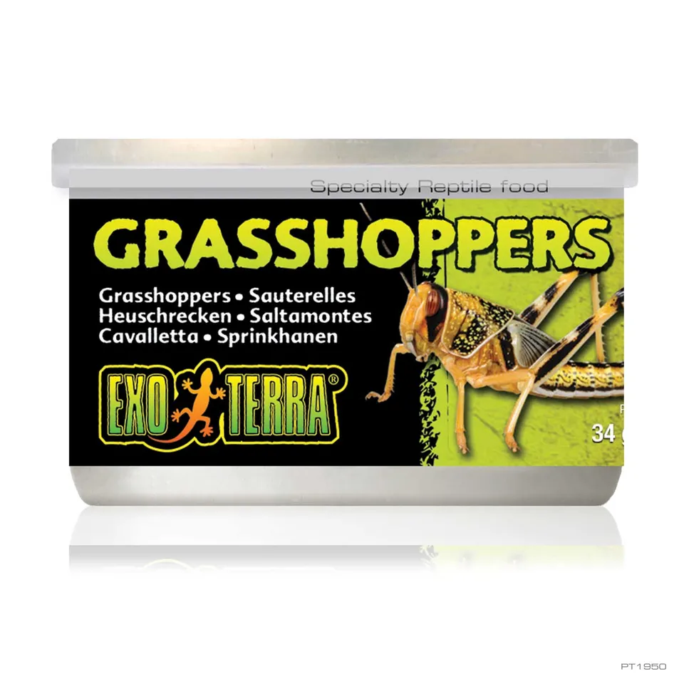 exo-terra-grasshoppers-1-2-oz-34g-dosenfutter-f-r-reptilien image 1