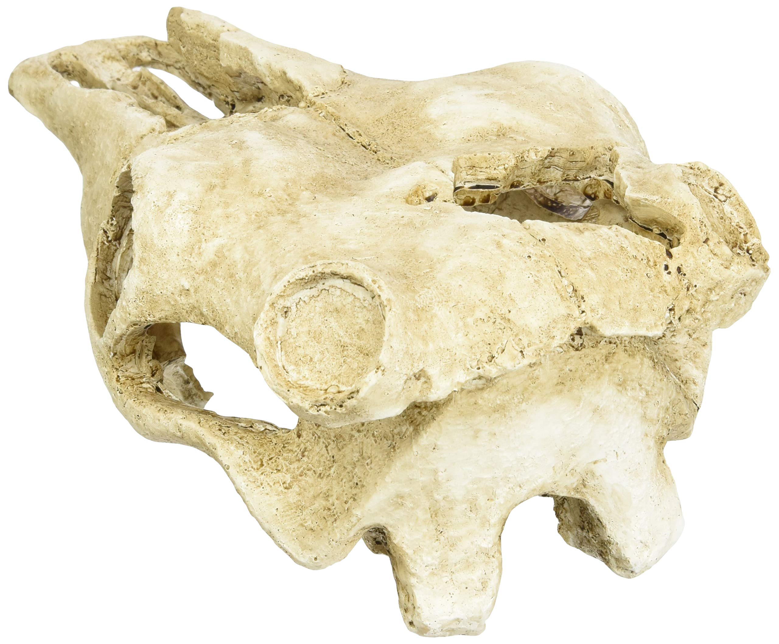 lucky-reptile-deco-skull-cow-kuhsch-del-terrarien-deko-22-cm image 2