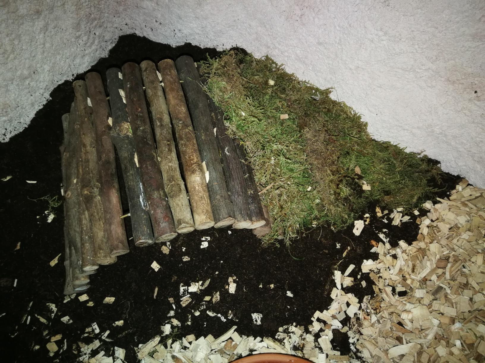 Perfekt für Schildkröten