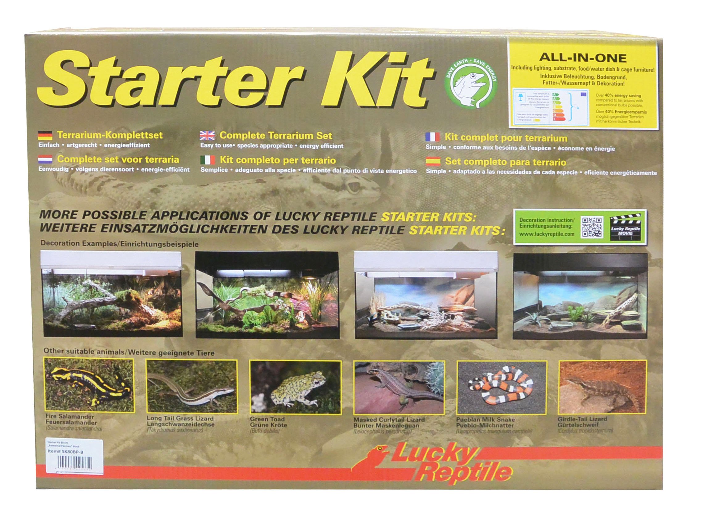 lucky-reptile-starter-kit-w-stengecko-50-x-28-x-40-cm-wei image 3