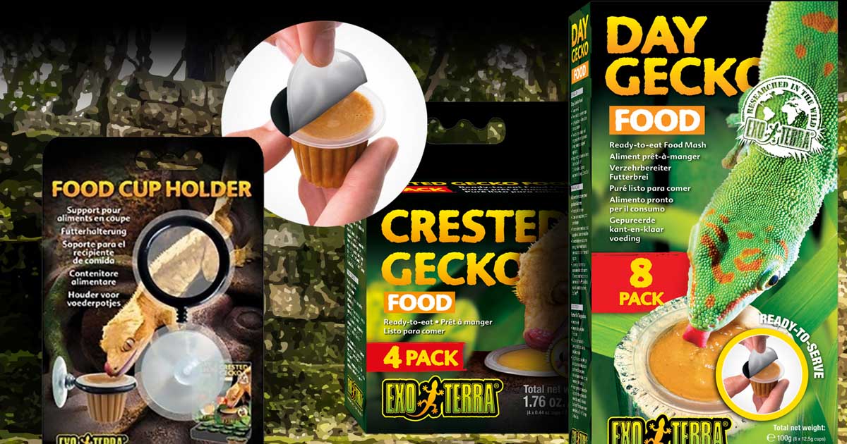 exo-terra-cup-diets-n-hrgel-futter-f-r-geckos image 1