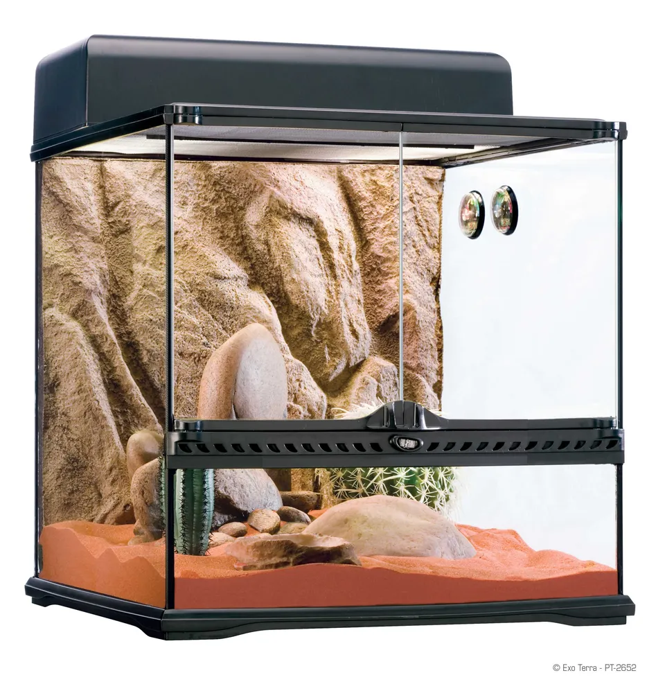 exo-terra-habitat-kit-desert-medium-w-sten-komplett-terrarium image 1